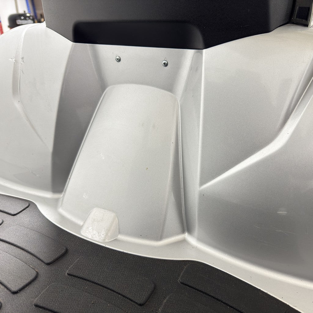 Electric Mobility Rascal Vision